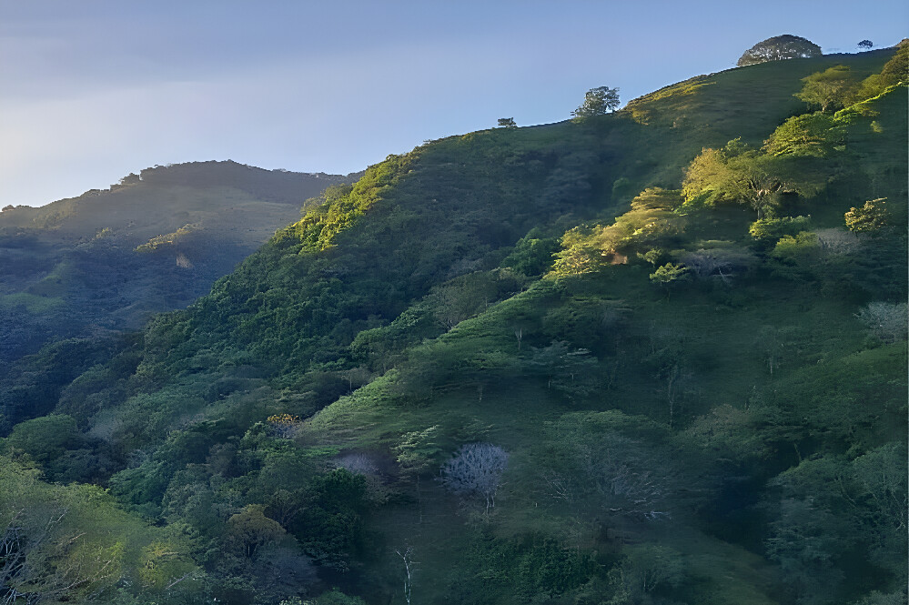 Retraite de réinitialisation mentale et de vie consciente de 5 jours dans la jungle, Costa Rica 69