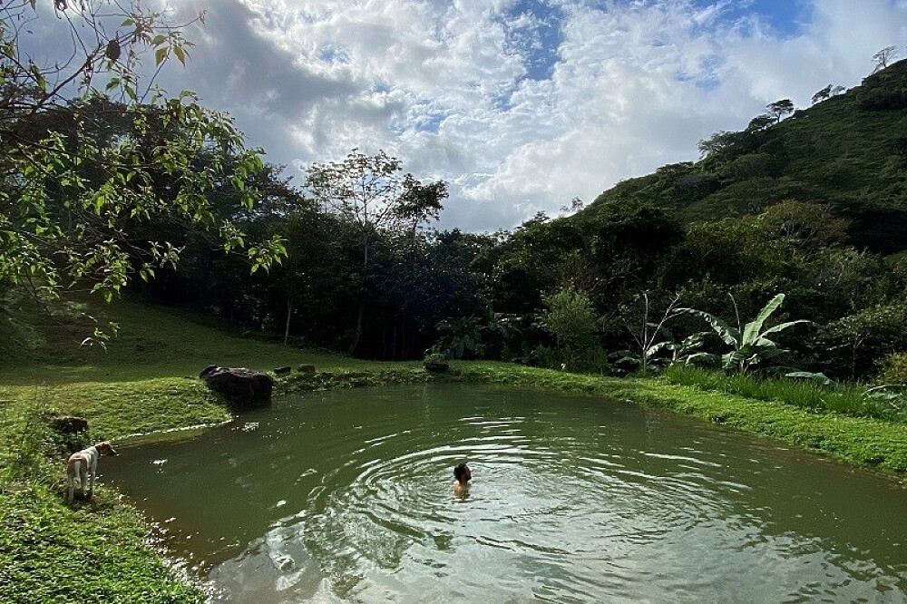 Retraite de réinitialisation mentale et de vie consciente de 5 jours dans la jungle, Costa Rica 49