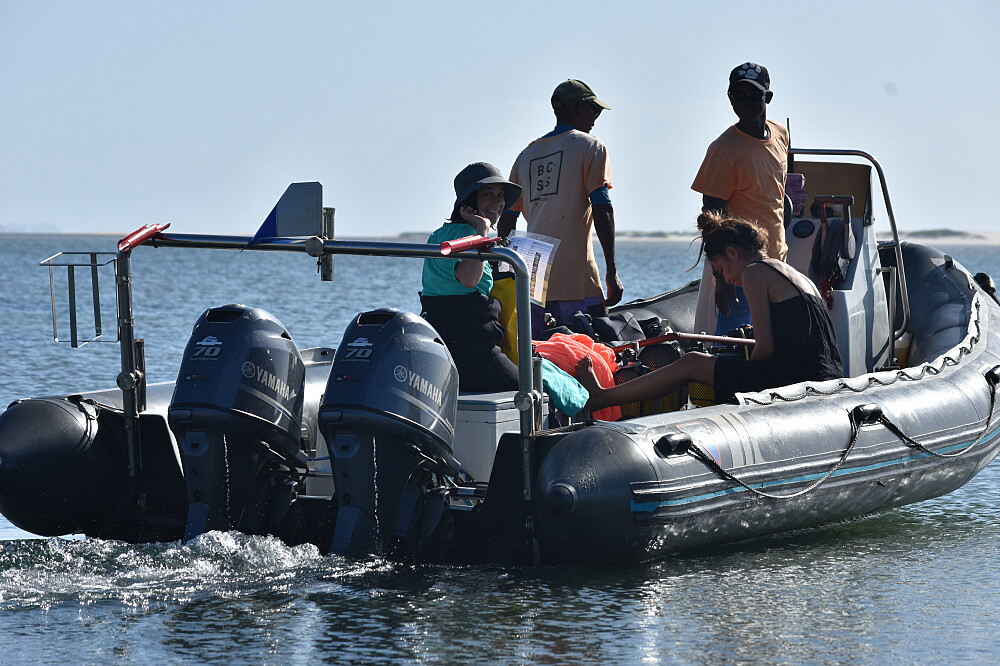 Ritiro sull'oceano di 5 giorni in Mozambico: immersioni, ricerca, meditazione 17