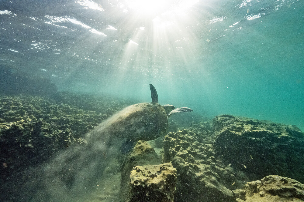 Ritiro sull'oceano di 5 giorni in Mozambico: immersioni, ricerca, meditazione 41