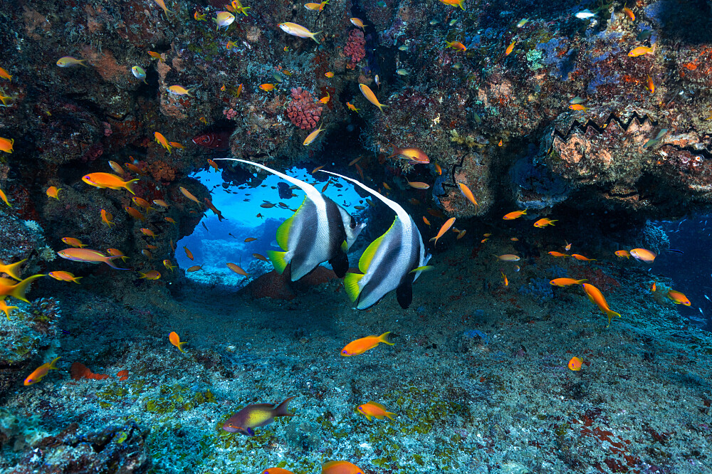Ritiro sull'oceano di 5 giorni in Mozambico: immersioni, ricerca, meditazione 40