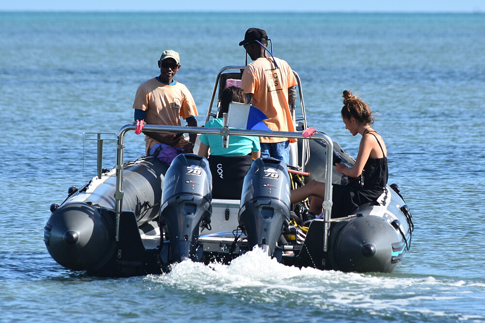 Ritiro sull'oceano di 5 giorni in Mozambico: immersioni, ricerca, meditazione 10