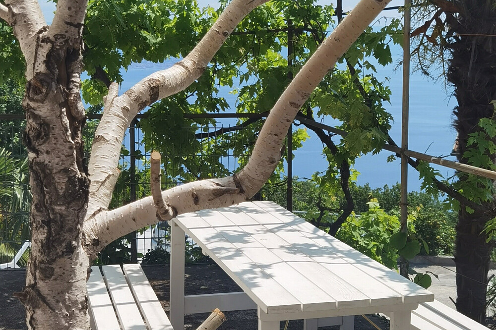 5 Day Premium Yoga & Detox Organic Eco Retreat in Croatia 3