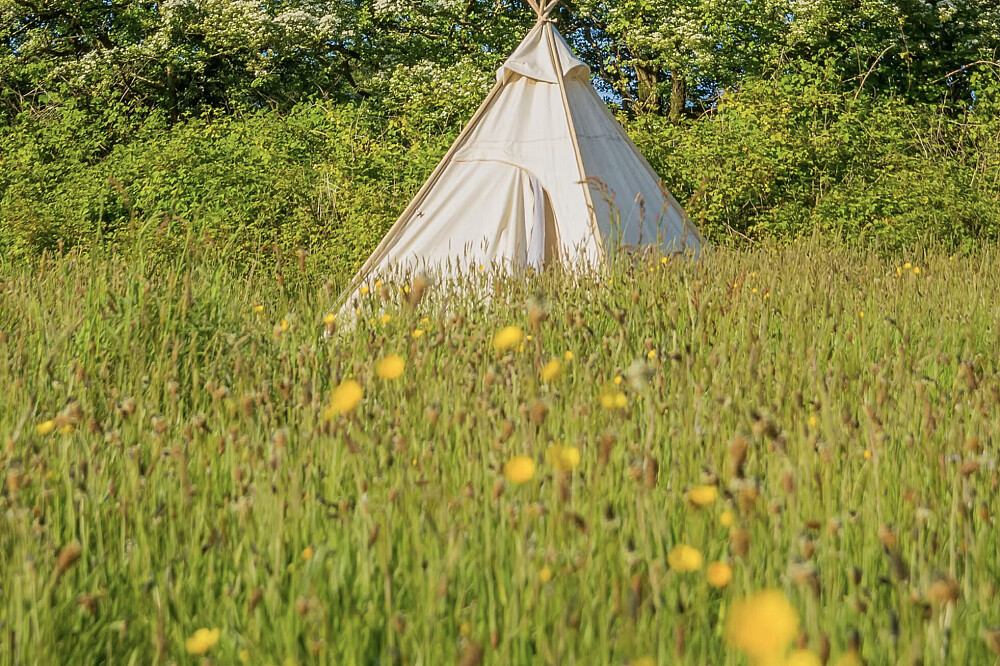 5-daagse Reiki- & Gong Sound Healing-training in West-Wales, VK 12