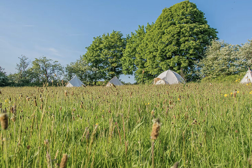5-daagse Reiki- & Gong Sound Healing-training in West-Wales, VK 8