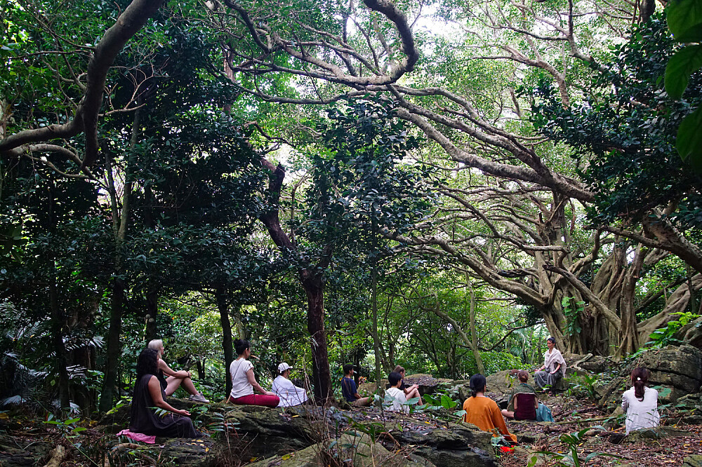 5 Day Silent Mindfulness Meditation & Yoga Retreat in Japan 4