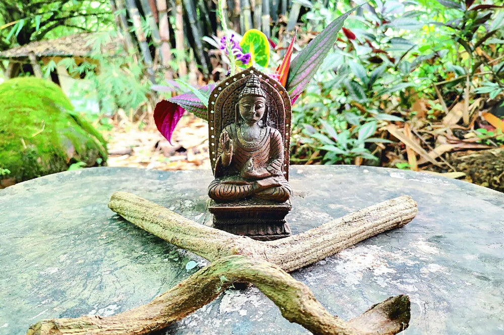 5 Day Truth Simplicity Love - Ayahuasca Retreat in Costa Rica