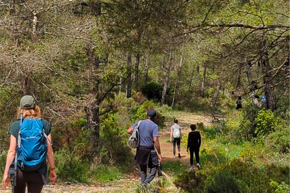 5-daagse Vipassana-stiltemeditatieretreat in de natuur, Spanje 31