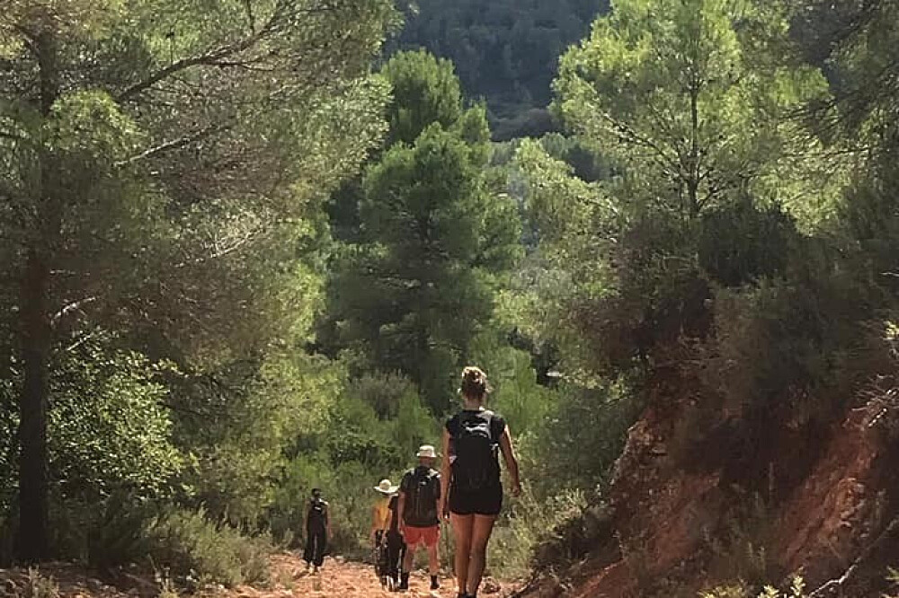 5-daagse Vipassana-stiltemeditatieretreat in de natuur, Spanje 11