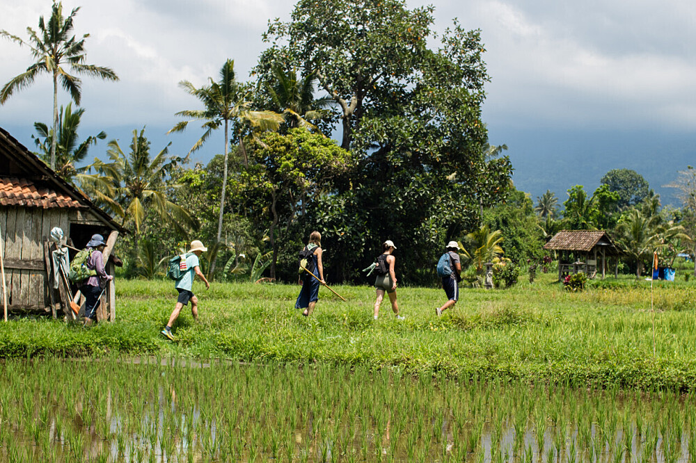 5-daagse wandelreis van verbinding op Bali, Indonesië 6
