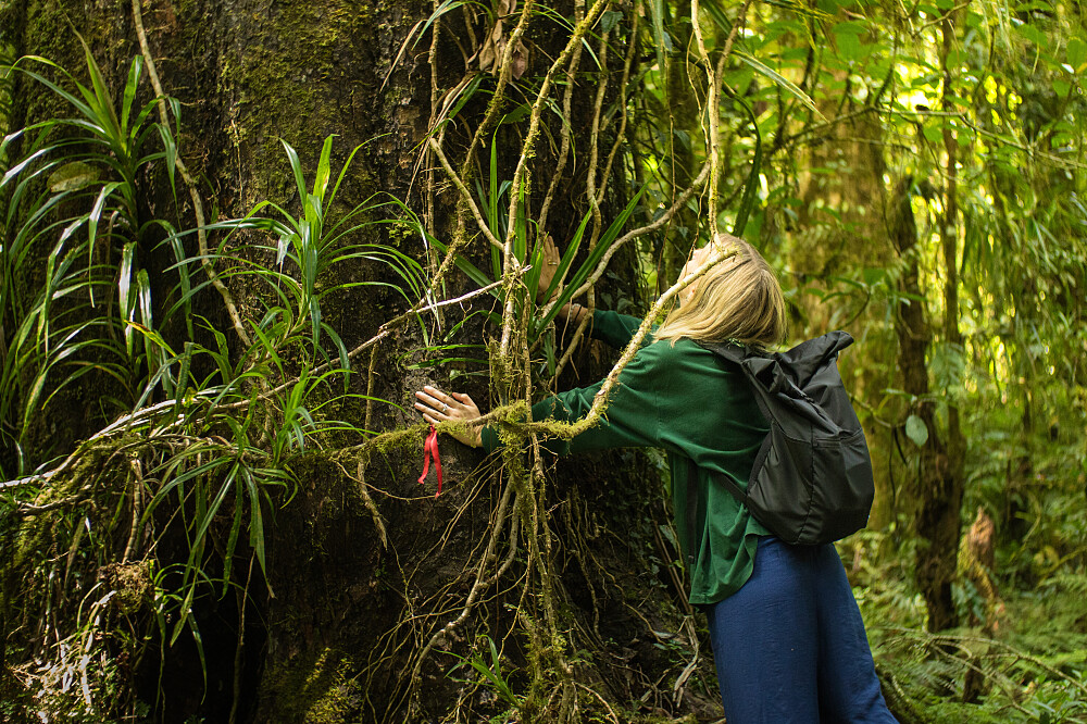 5-daagse wandelreis van verbinding op Bali, Indonesië 4