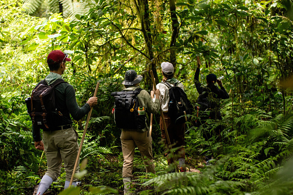 5-daagse wandelreis van verbinding op Bali, Indonesië 2