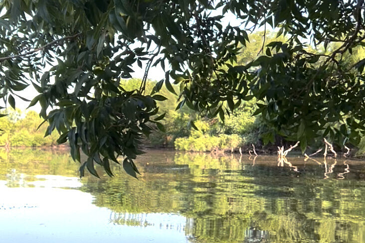 5 Day Women's Trauma Healing Retreat in Granbury, TX, USA 5