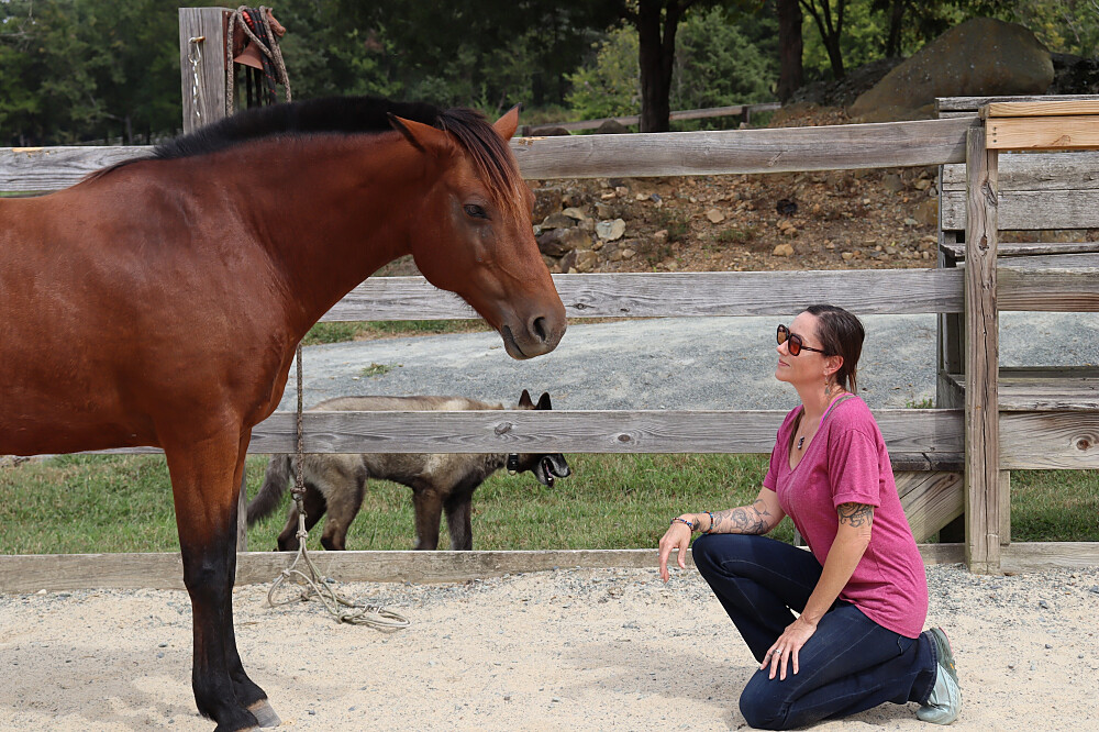 5 Day Women's Yoga, Horse Wisdom & Somatic Retreat in USA 3