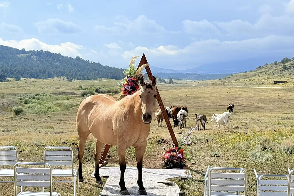 Retiro de Yoga, Sabedoria dos Cavalos e Somática para Mulheres de 5 Dias nos EUA 7