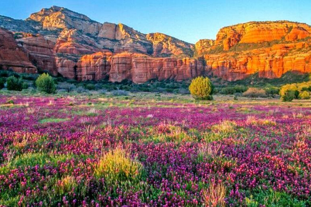5 Day Women's Yoga, Meditation, Hiking Retreat in Sedona, Arizona