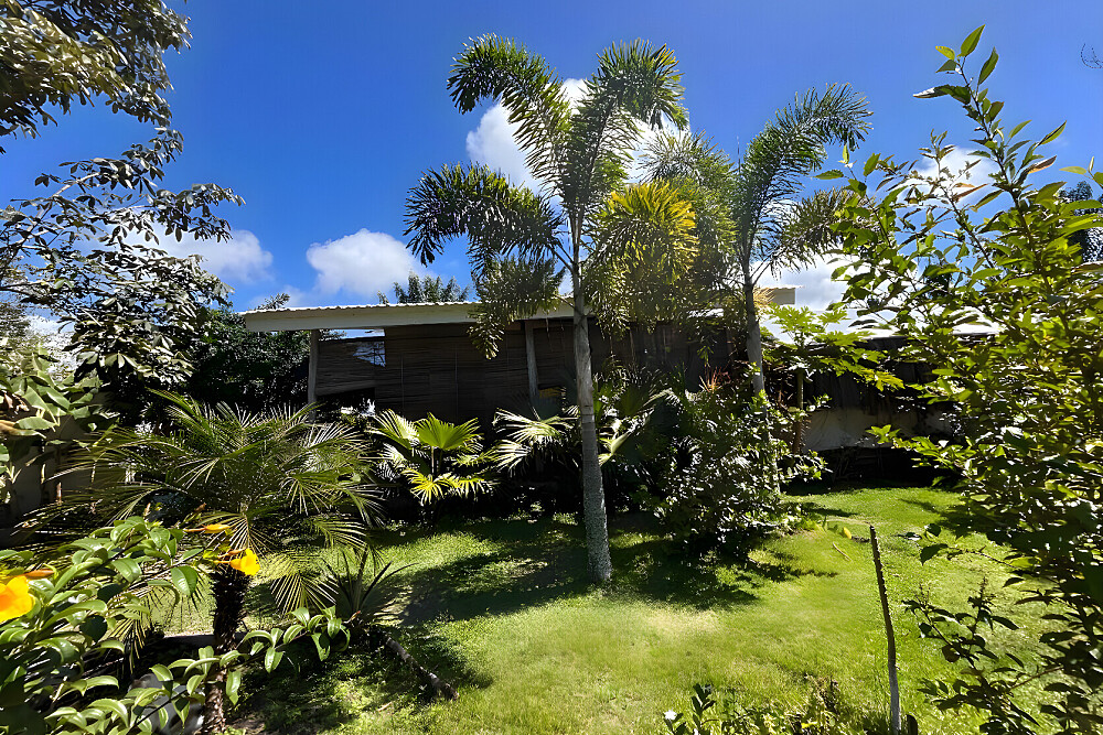 5 Day Yoga, Meditation & Ayahuasca Retreat in Bahia, Brazil 5