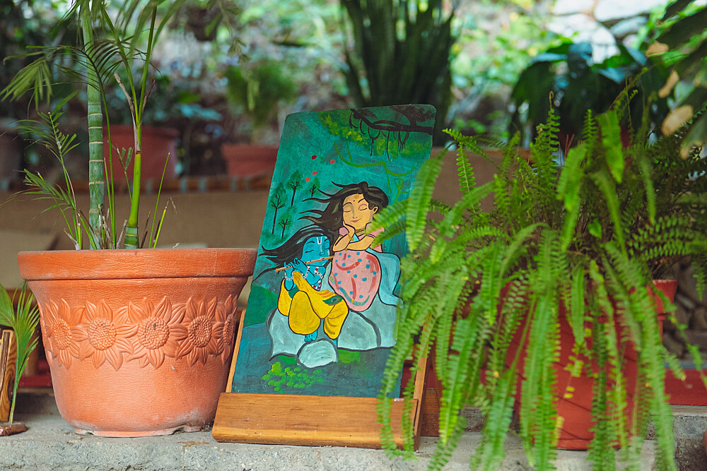 5 Day Yoga, Meditation & Ayurveda Wellness Retreat in India 9