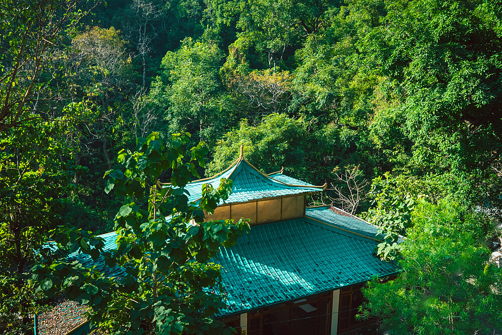 5 Day Yoga, Meditation & Ayurveda Wellness Retreat in India 8