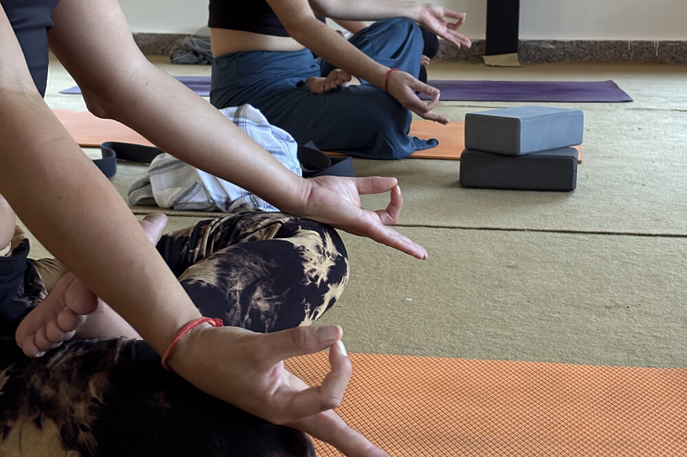 Formation de 50 heures en breathwork et pranayama sur 6 jours, Rishikesh, Inde 39
