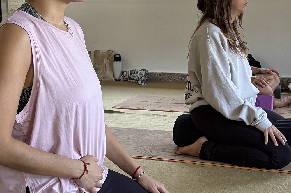 Formation de 50 heures en breathwork et pranayama sur 6 jours, Rishikesh, Inde 33