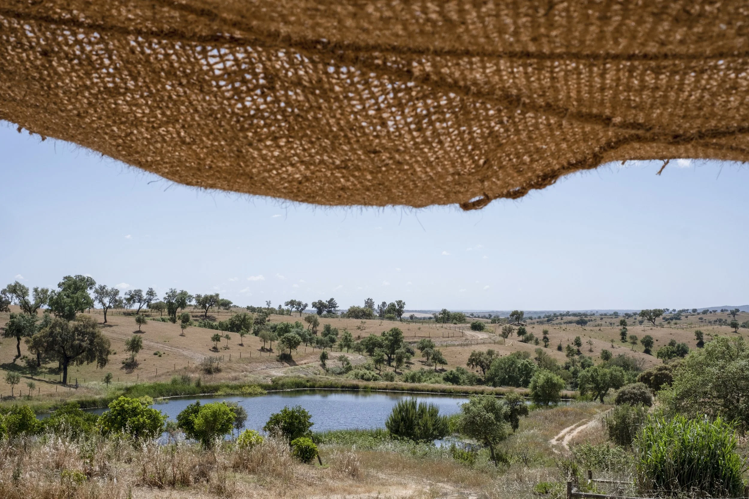 6-Day 50-Hour Vinyasa Yoga Teacher Training in Alentejo, Portugal