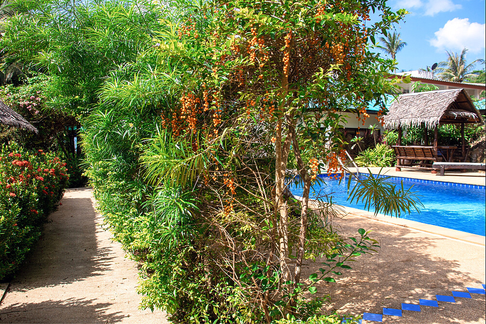 6 Day Ananda Yoga Retreat in Sandy Koh Pha Ngan, Thailand 22