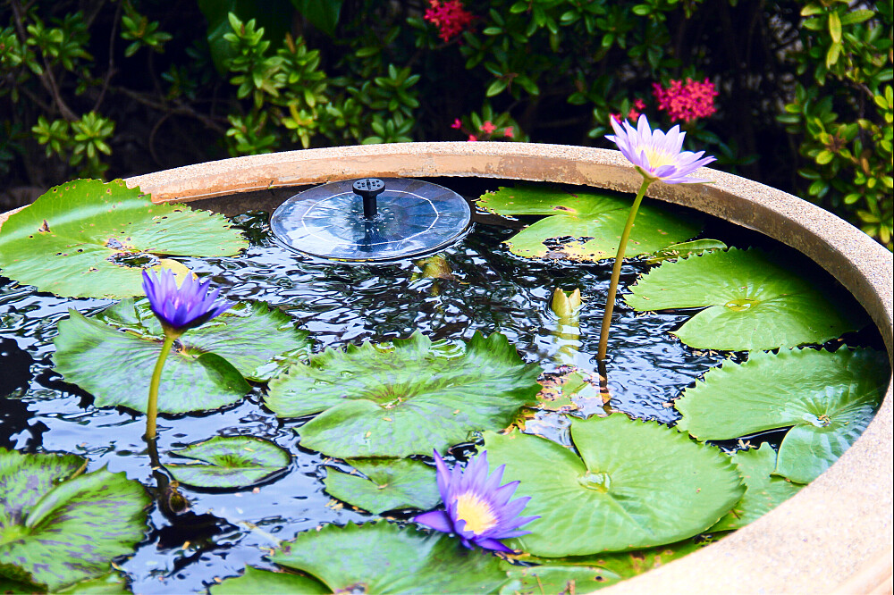 6 Day Ananda Yoga Retreat in Sandy Koh Pha Ngan, Thailand 21