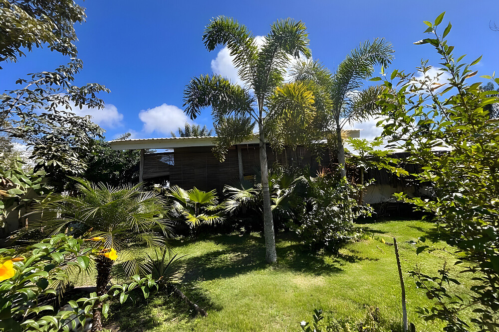 6 dagen cacao, meditatie en emotioneel herstel retreat in Brazilië 7