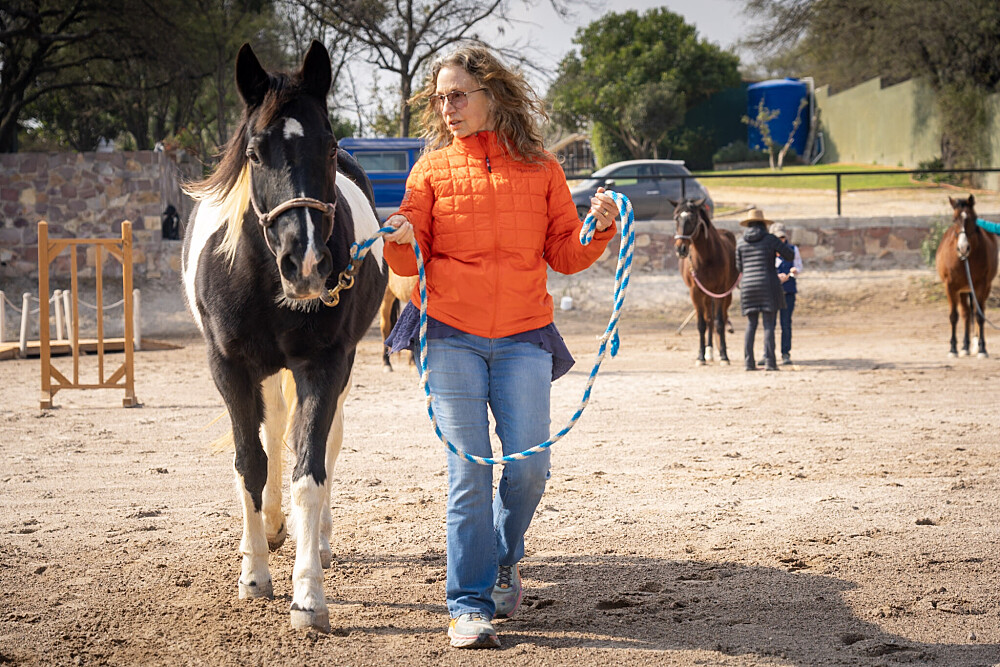 Four Days with the Herd: An Equine Guided Journey Inspired by The Four Agreements 2