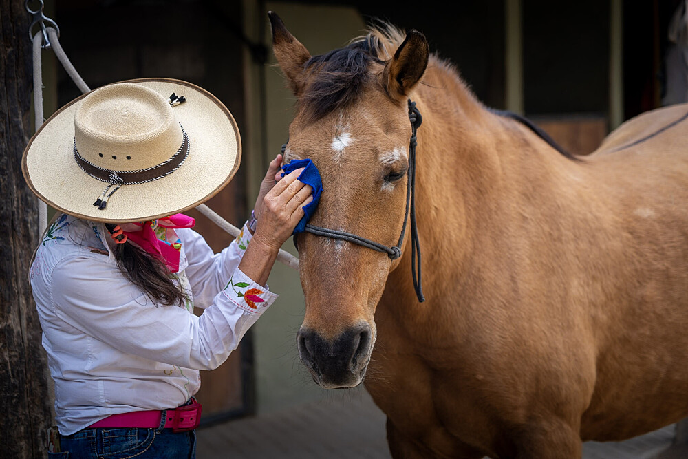 Quatro Dias com a Manada: Uma Viagem Guiada com Cavalos Inspirada em Os Quatro Compromissos 24