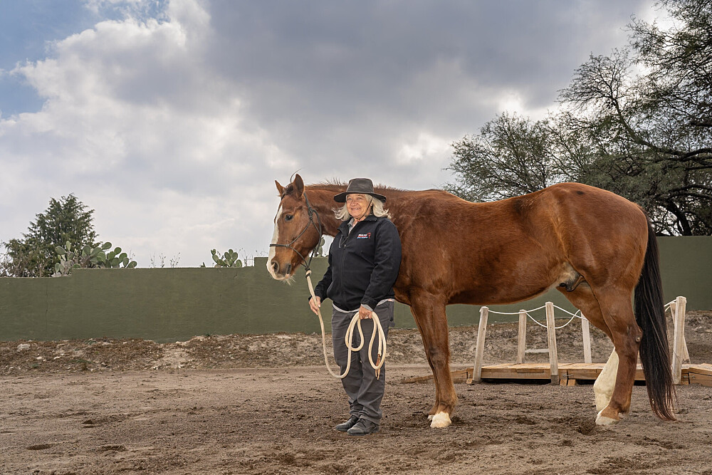Quatro Dias com a Manada: Uma Viagem Guiada com Cavalos Inspirada em Os Quatro Compromissos 28