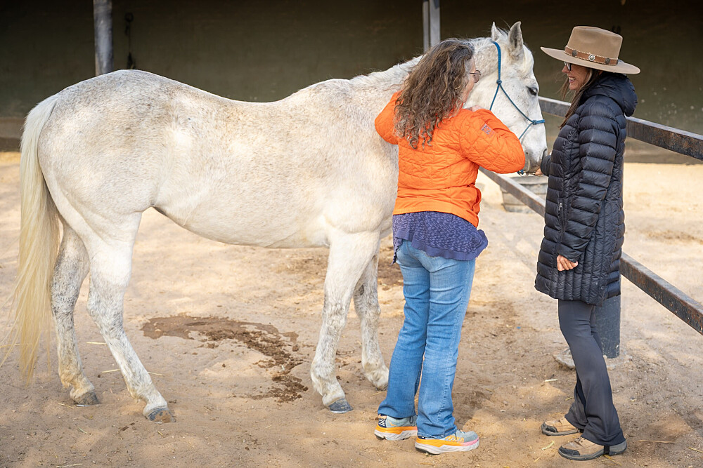 Quatro Dias com a Manada: Uma Viagem Guiada com Cavalos Inspirada em Os Quatro Compromissos 46