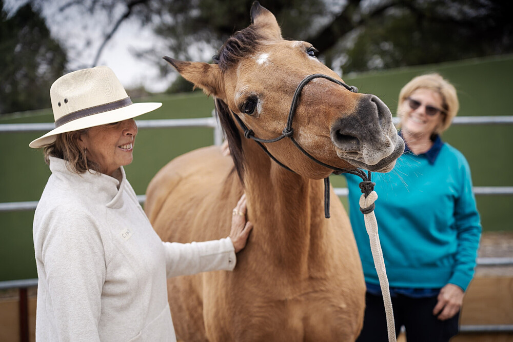 Quatro Dias com a Manada: Uma Viagem Guiada com Cavalos Inspirada em Os Quatro Compromissos 25