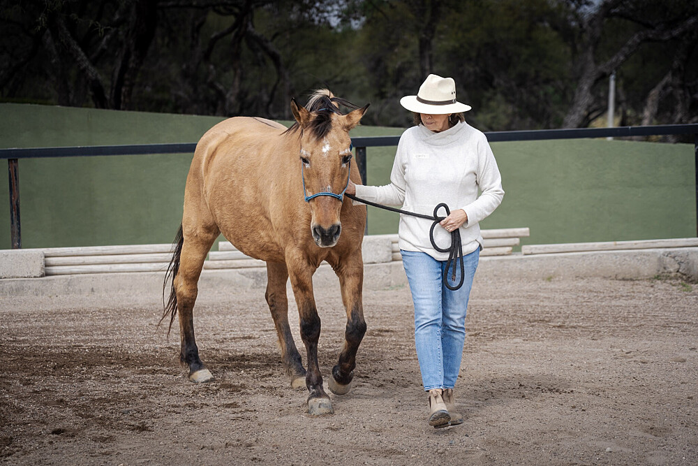 Quatro Dias com a Manada: Uma Viagem Guiada com Cavalos Inspirada em Os Quatro Compromissos 31