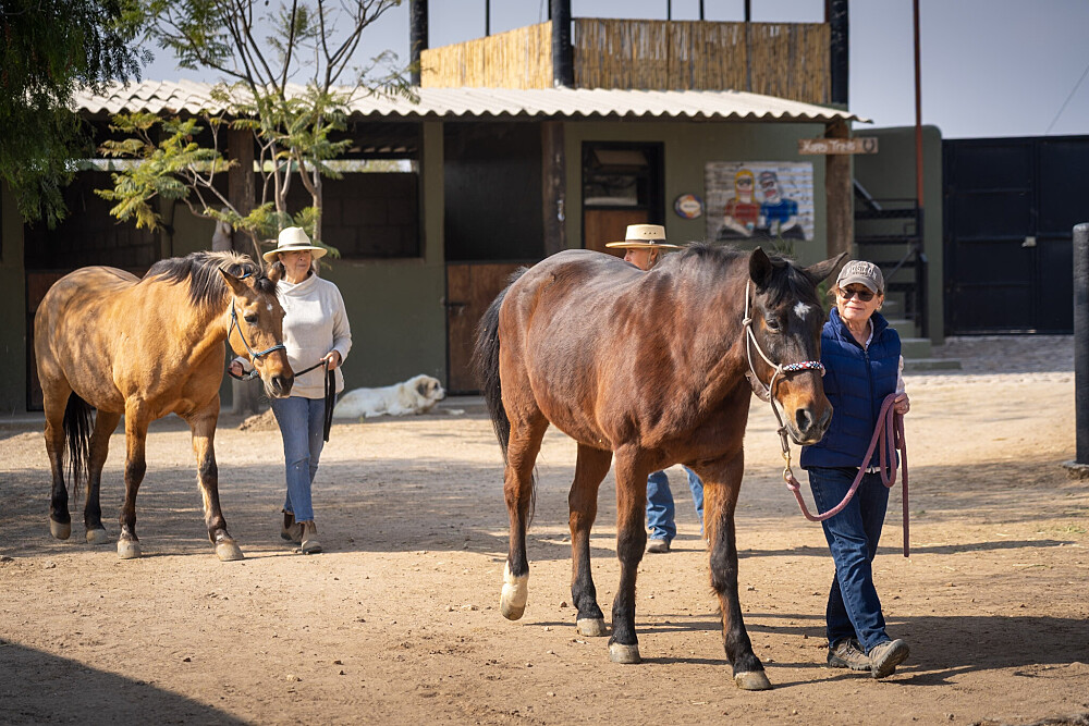 Quatro Dias com a Manada: Uma Viagem Guiada com Cavalos Inspirada em Os Quatro Compromissos 43
