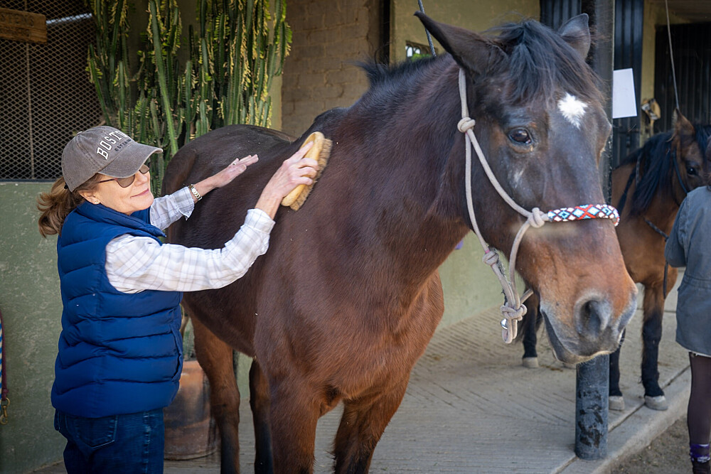 Quatro Dias com a Manada: Uma Viagem Guiada com Cavalos Inspirada em Os Quatro Compromissos 44