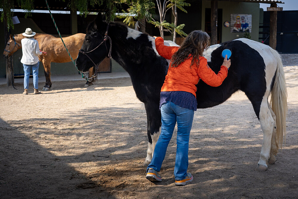 Quatro Dias com a Manada: Uma Viagem Guiada com Cavalos Inspirada em Os Quatro Compromissos 45