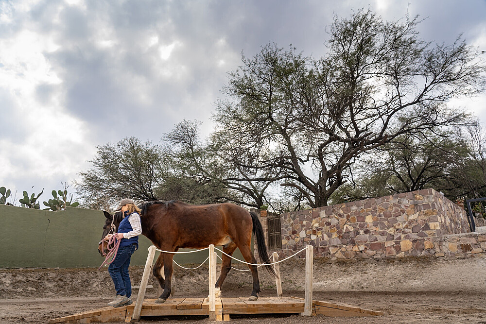 Quatro Dias com a Manada: Uma Viagem Guiada com Cavalos Inspirada em Os Quatro Compromissos 26