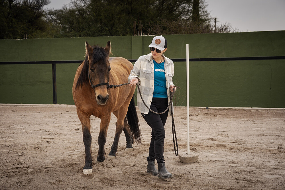 Quatro Dias com a Manada: Uma Viagem Guiada com Cavalos Inspirada em Os Quatro Compromissos 8