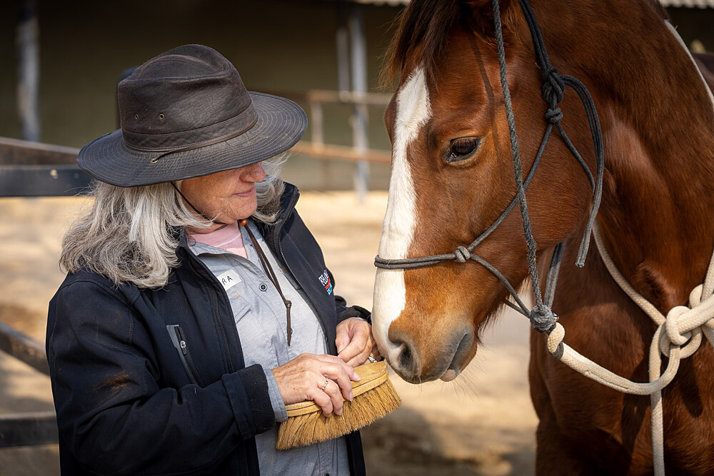 Four Days with the Herd: An Equine Guided Journey Inspired by The Four Agreements 3