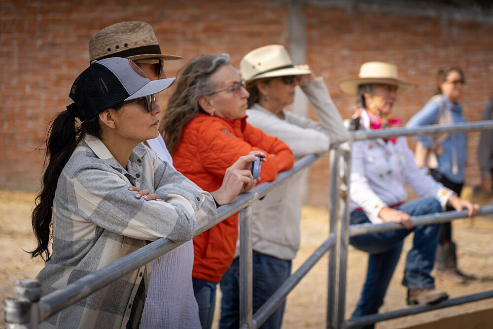 Quatro Dias com a Manada: Uma Viagem Guiada com Cavalos Inspirada em Os Quatro Compromissos 14
