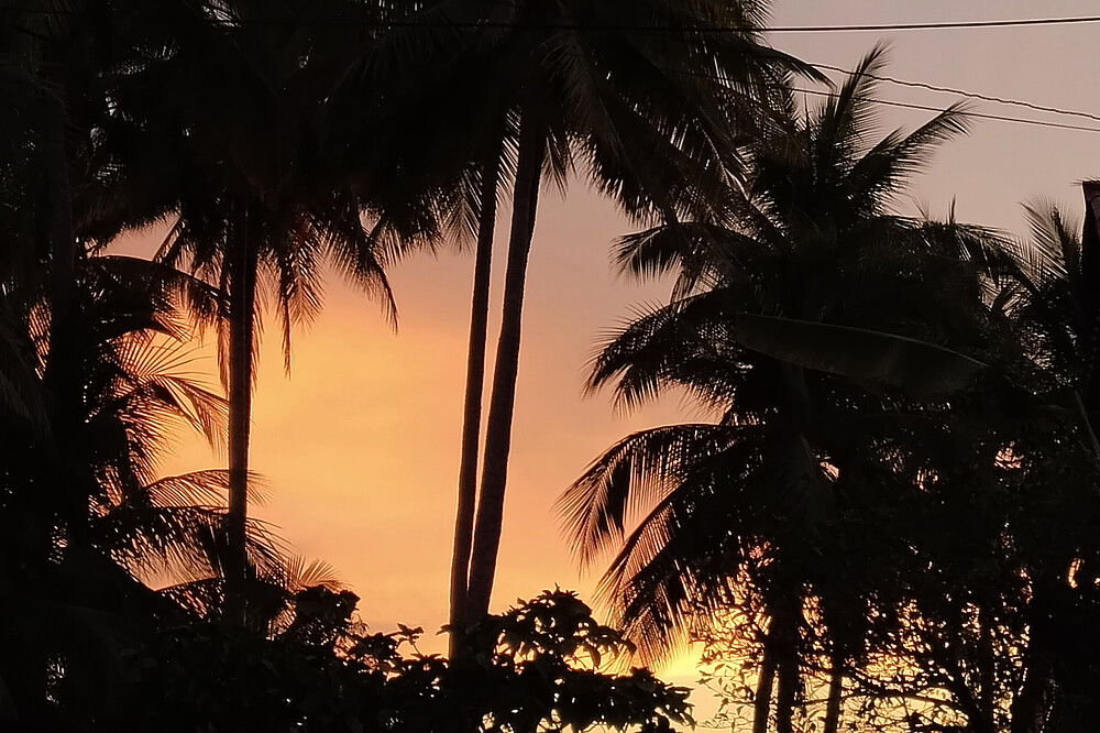 6 Day Digital Detox Retreat in Koh Samui, Thailand 4