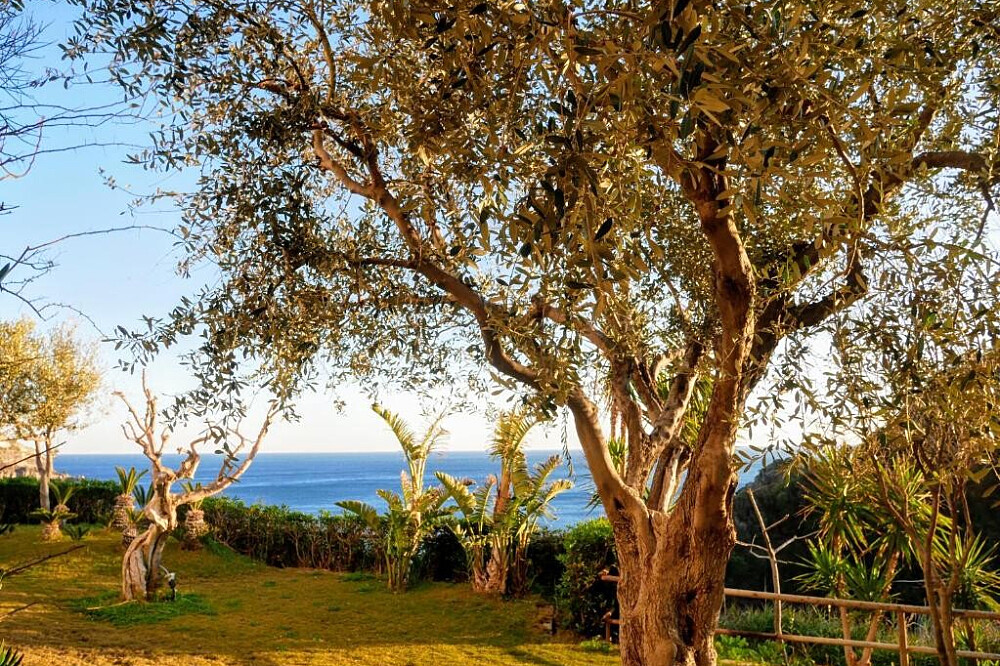 Retiro de Ioga de Longevidade e Cura Termal de 6 Dias em Ischia, Itália 42