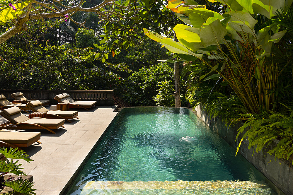 Retiro de Rejuvenescimento e Bem-Estar de 6 Dias em Ubud, Bali 23