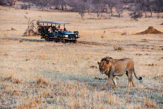 6-daagse luxe mindfulnessretraite in de natuur in Zimbabwe 6
