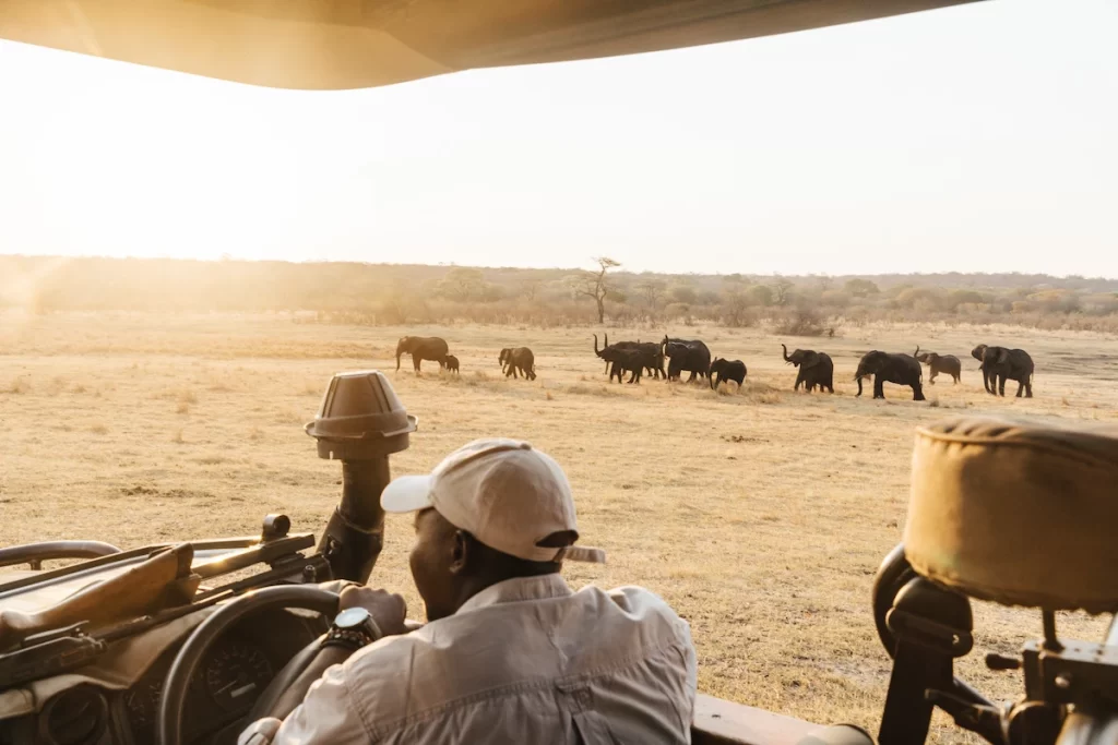 6-daagse luxe mindfulnessretraite in de natuur in Zimbabwe 3