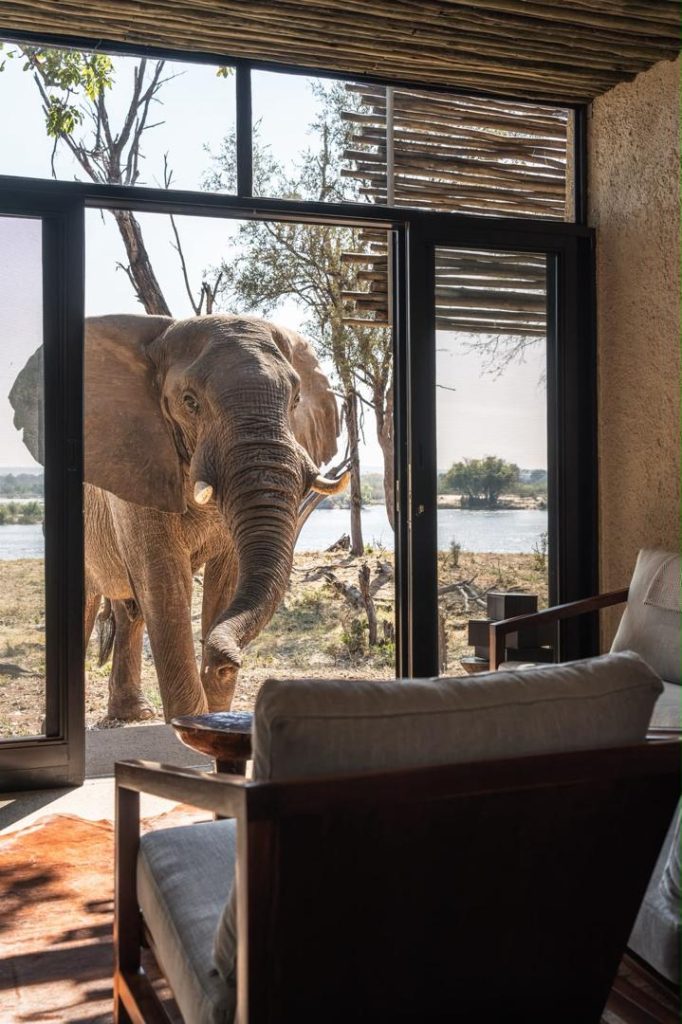 6-daagse luxe mindfulnessretraite in de natuur in Zimbabwe 2
