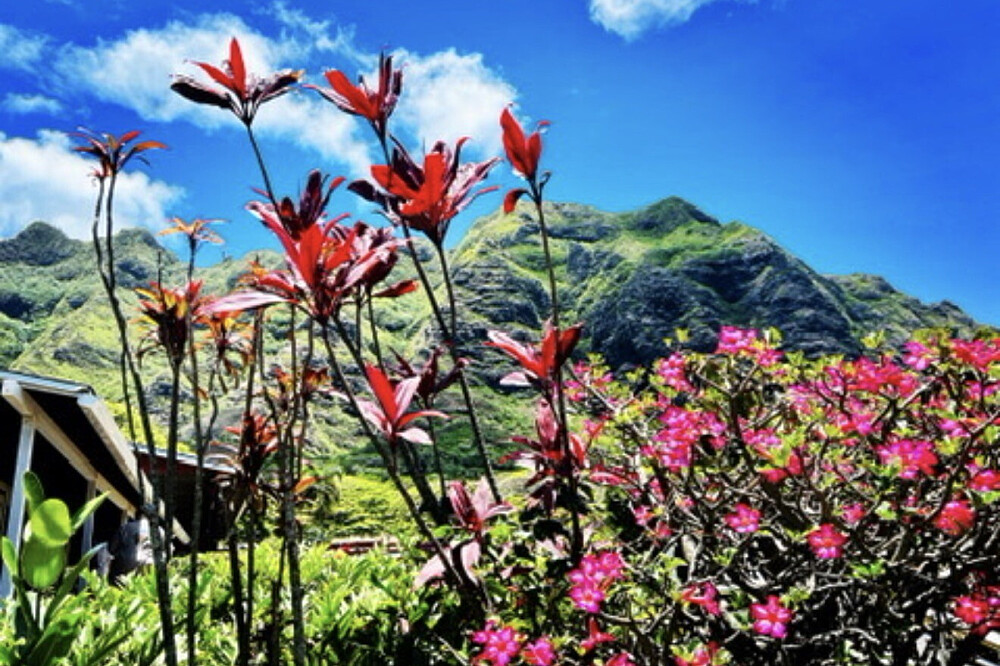 6 Day Reset in Paradise: Women's Hawaii Retreat with Ms. Hawaii