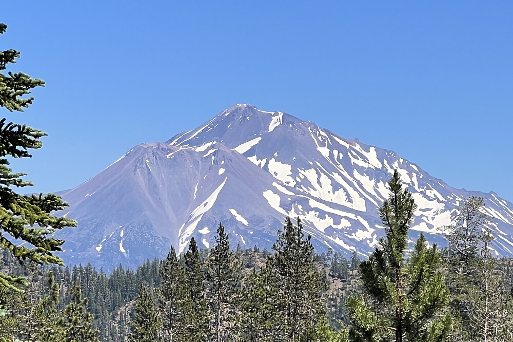 Immersione sacra nelle piante di 6 giorni: ritiro True Nature a Mt Shasta, CA 21